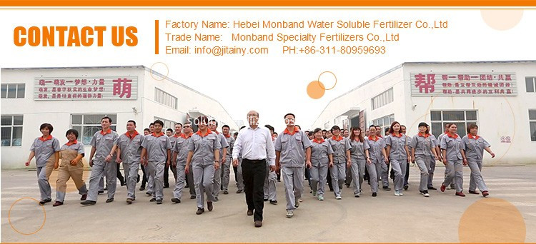 Contact Monband Monband Contact