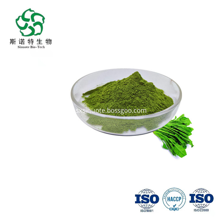 Spinach Juice Powder Spinach Juice Powder
