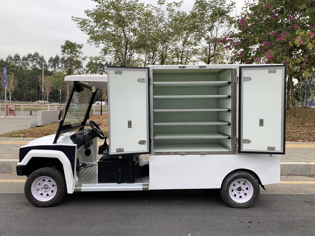 Used Electric Utility Vehicle