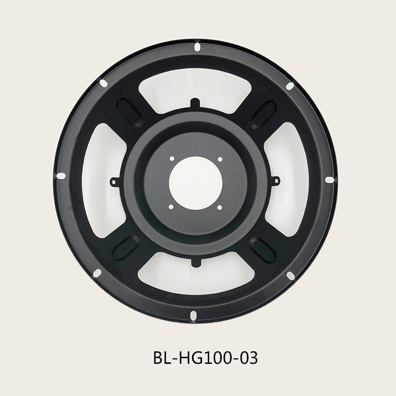 Bl Hg100 03