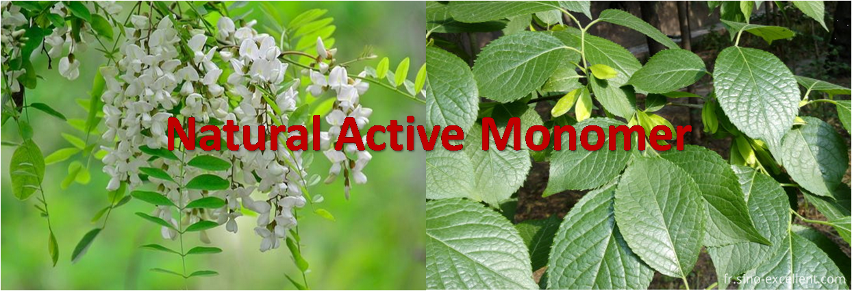 Monomère naturel actif Natural Active Monomer