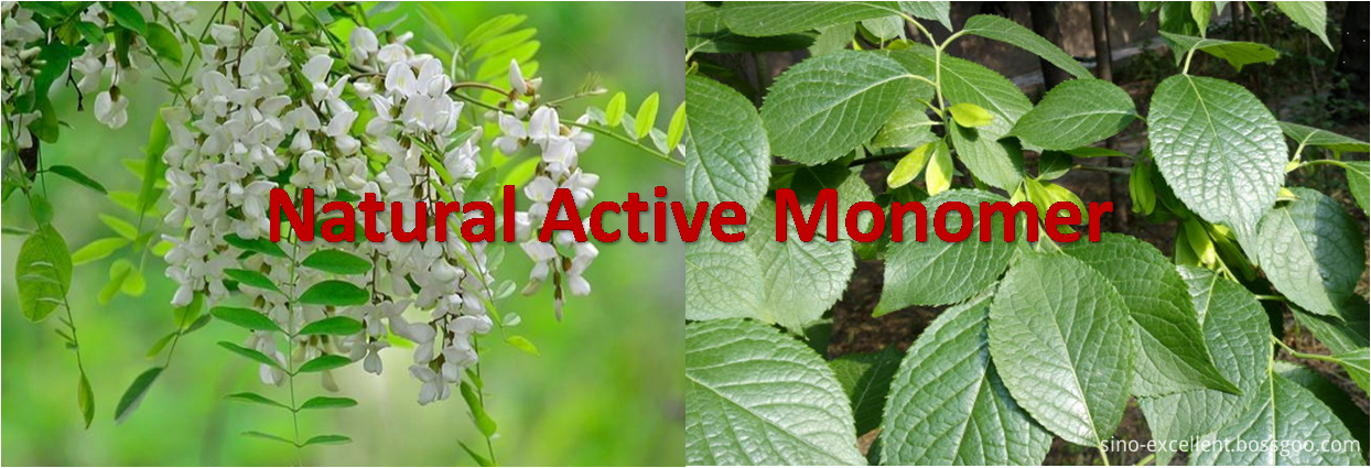 Natural Active Monomer