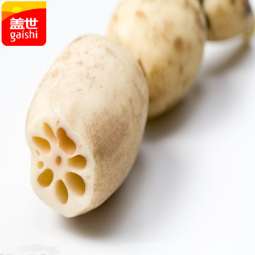 China Verduras Sanas Coreanas Condimentadas Recetas De Rodajas De Raiz De Loto Para Galletas Fabricantes