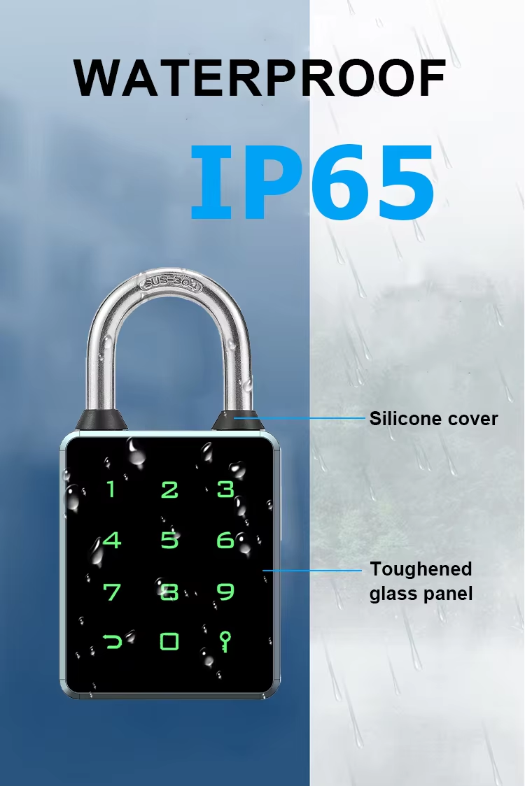 10 Card Padlock 10 Card Padlock
