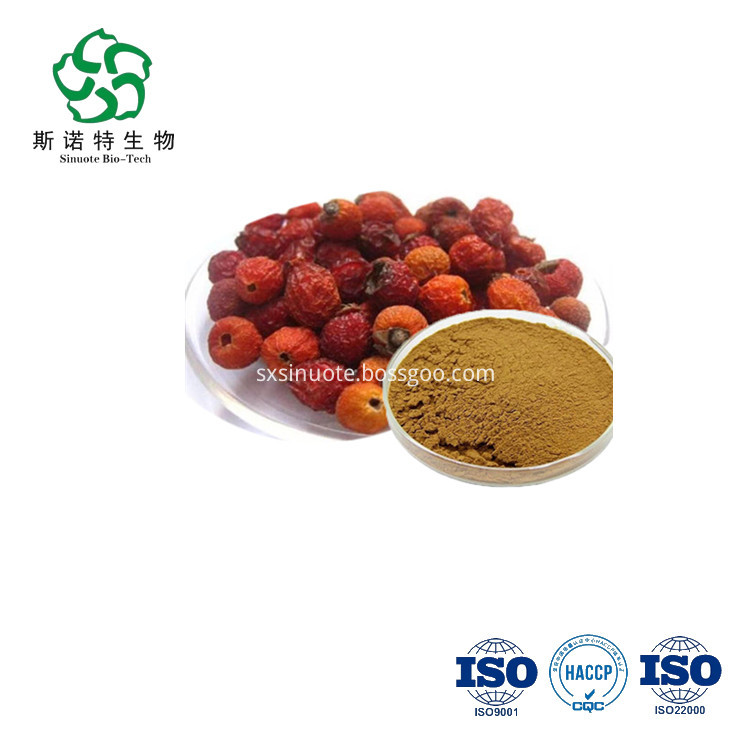 Rose Hip Fruit Extract Powder Rose Hip Fruit Extract Powder
