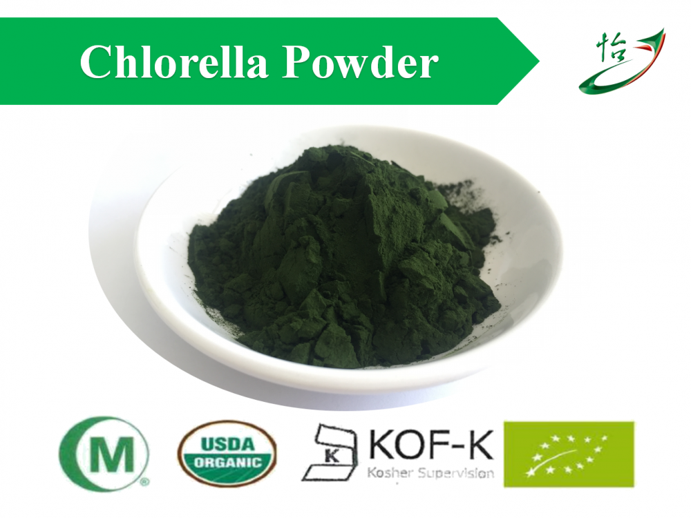 Chlorrella Powder