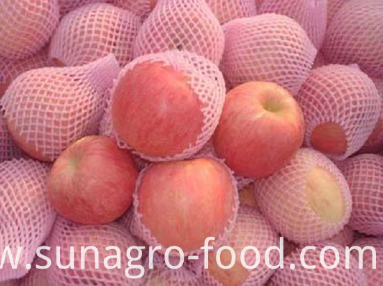 Excellent Variety Of Fuji Apple