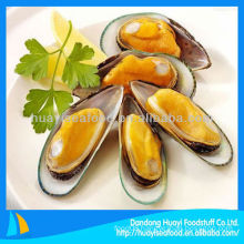 Mussel Series China Mussel Series Supplier Manufacturer