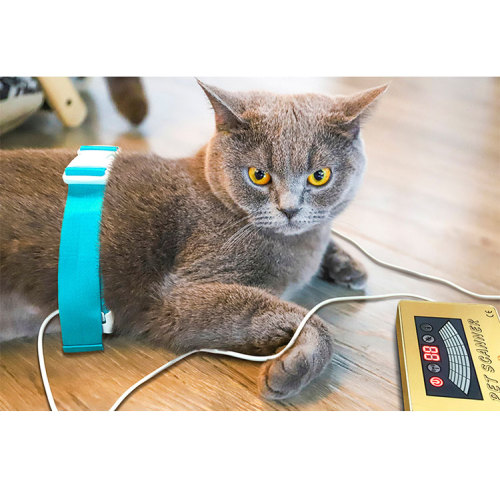 quantum resonance magnetic analyzer for pets for Sale, quantum resonance magnetic analyzer for pets wholesale From China