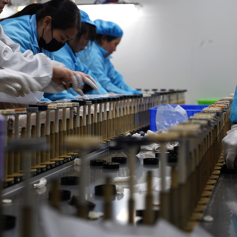 Dropper Essential Oil Bottle Dropper Essential Oil Bottle