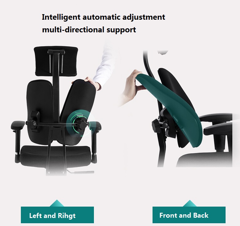 Dual Back Ergonomic Office Chair