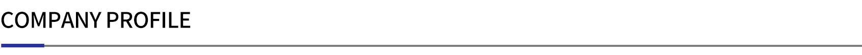 COMPANY PROFILE COMPANY PROFILE