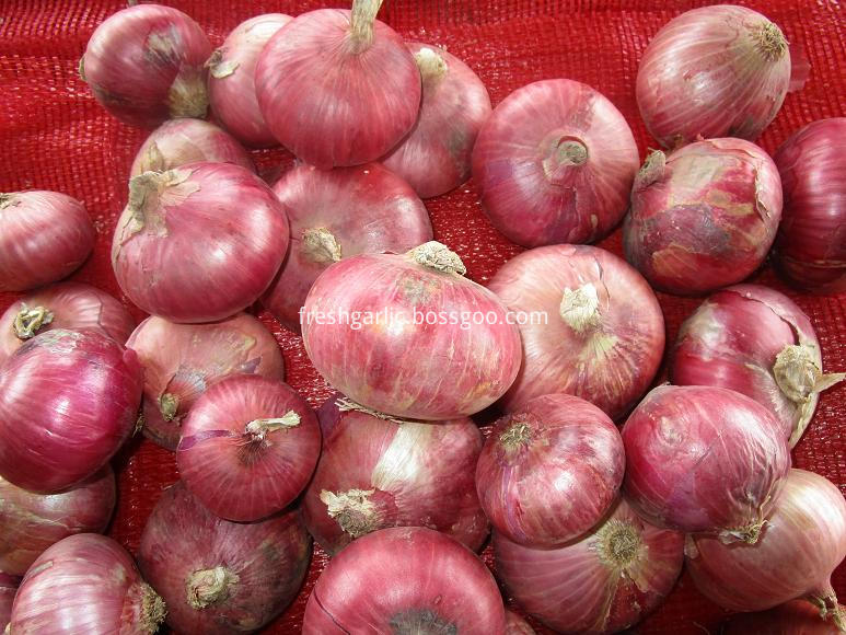 Red Onion