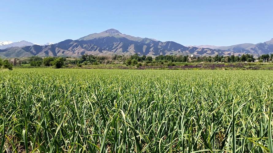 65558edf4ff9ae9549fe136b5588a49e 65558edf4ff9ae9549fe136b5588a49e