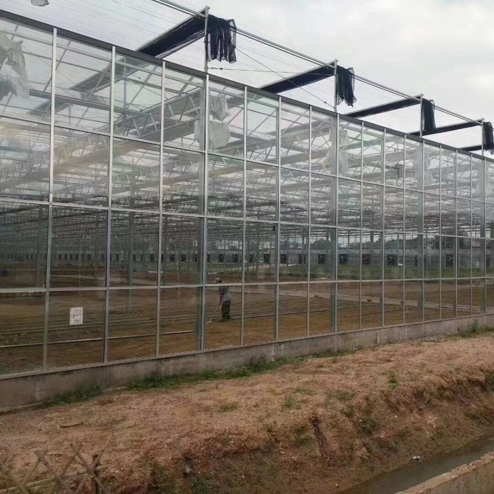 Greenhouse with External Shading Greenhouse with External Shading