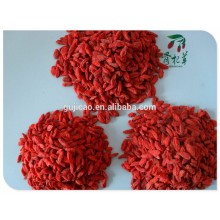 Venta al por mayor de níspero orgánico seco, bayas de goji, bayas de Goji orgánicas certificadas NOP USDA