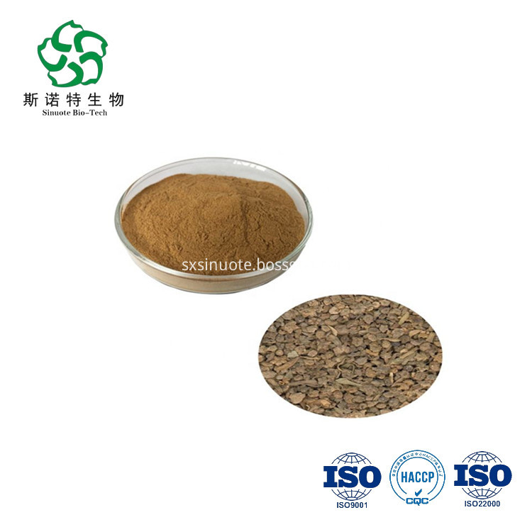 Fructus Kochiae Extract Fructus Kochiae Extract