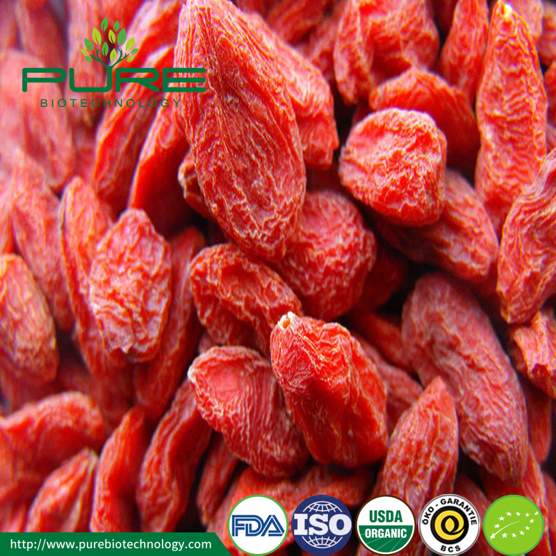 Goji Berry1 Goji Berry1