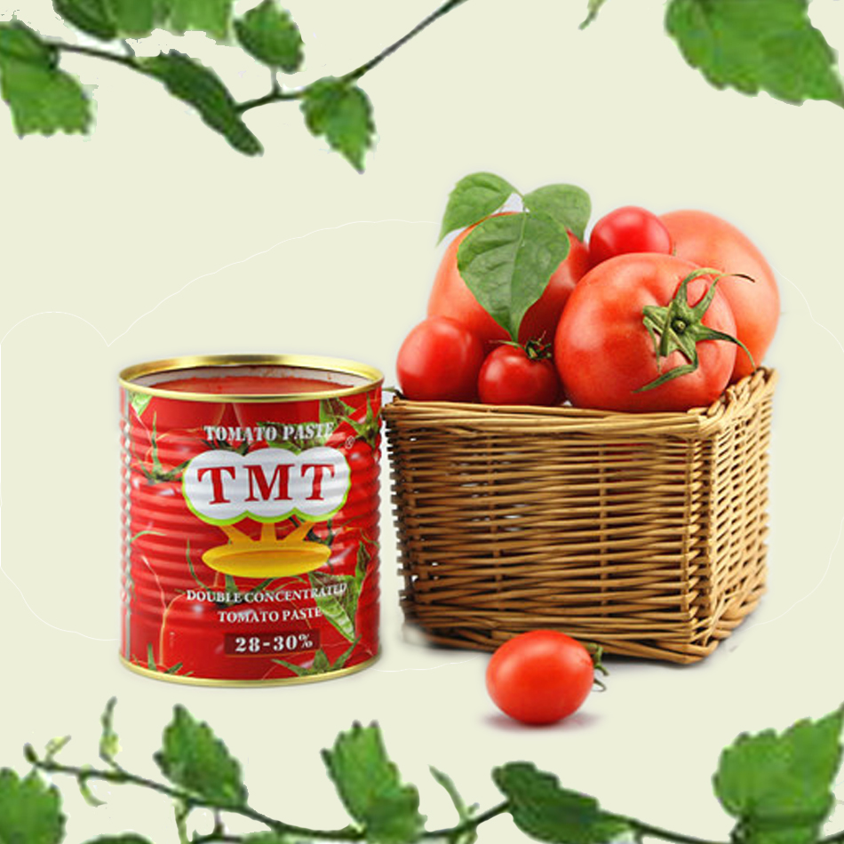 China Vego Brand Tomato Sauce Product Type Sachet Packed High Quality