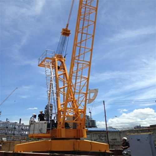 Grúa de elevación de buena calidad Good Quality Lifting Crane