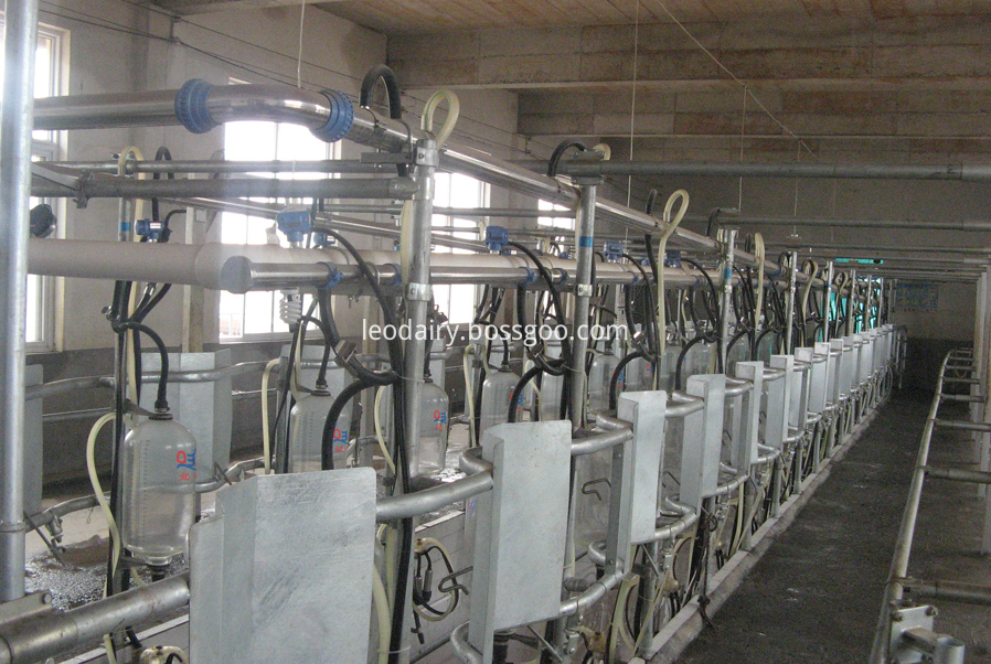 middle set milking parlor middle set milking parlor
