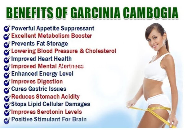 garcinia cambogia powder 4 garcinia cambogia powder 4