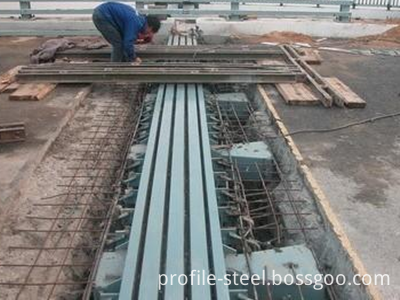 Shaped Steel Expansion Joint