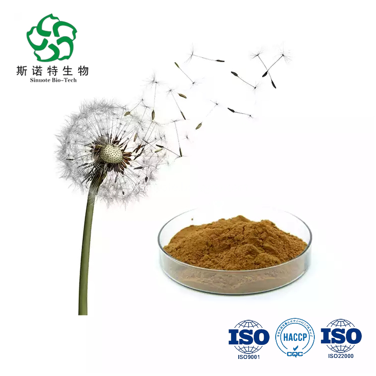 Dandelion Root Extract Dandelion Root Extract