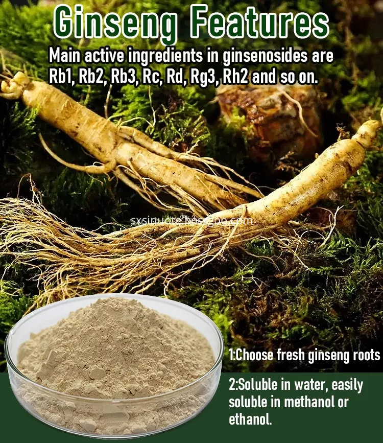 Ginseng Root Extract Ginseng Root Extract