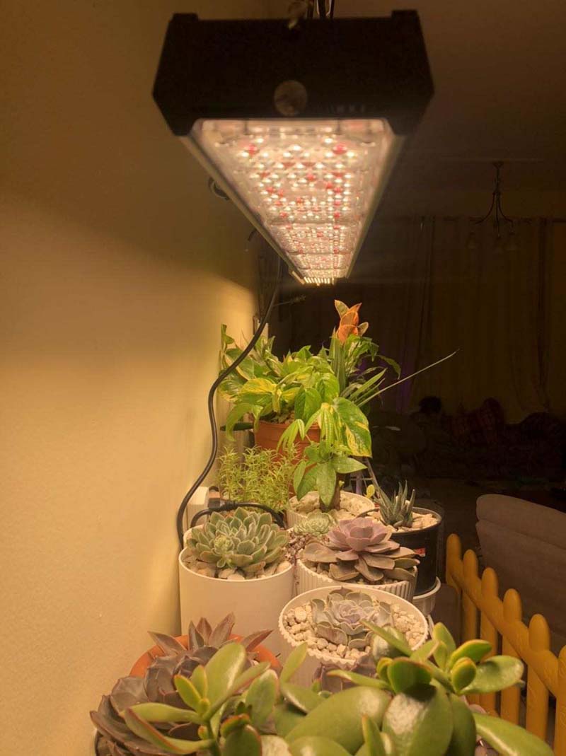 led grow light for potted plant