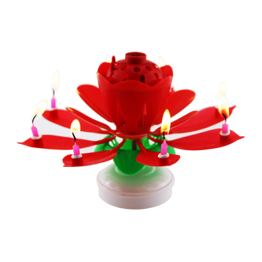 firework birthday candles    