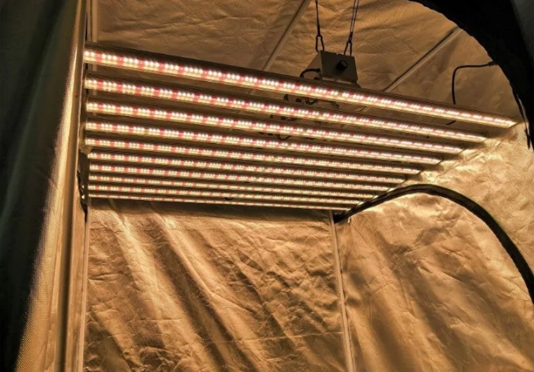 Best Cob Led Grow Light