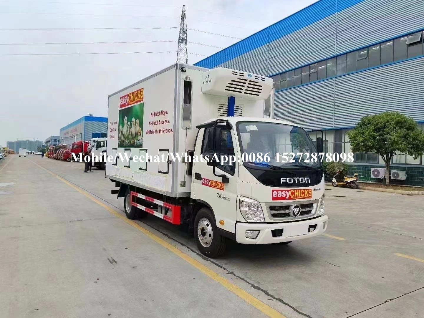 FOTON Chick Carrier (2) FOTON Chick Carrier (2)