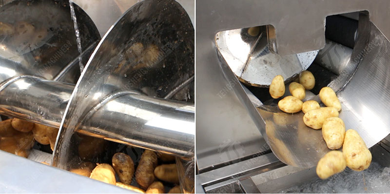 Potato peeling and washing machine Potato peeling and washing machine