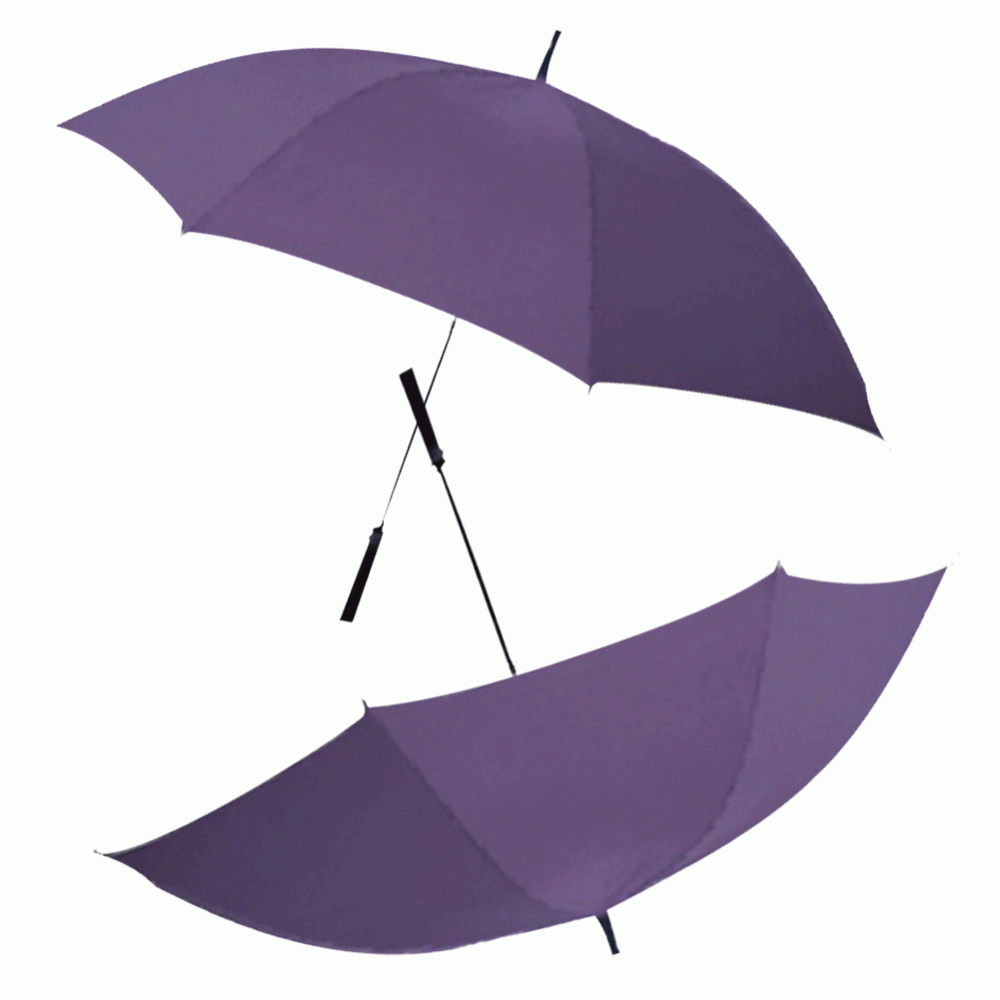 Umbrella