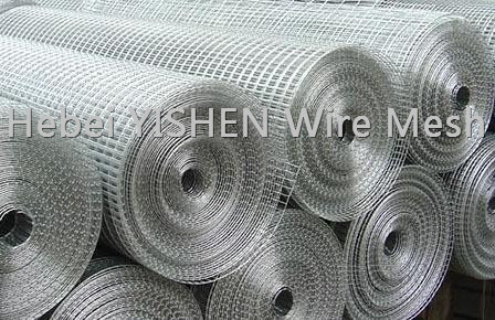 stainless steel welded wire mesh