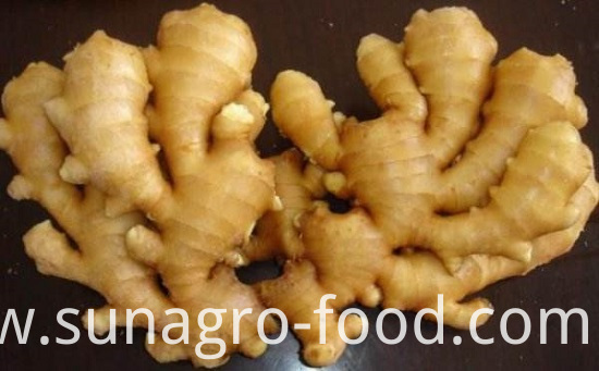 Good And Cheap Fresh Ginger