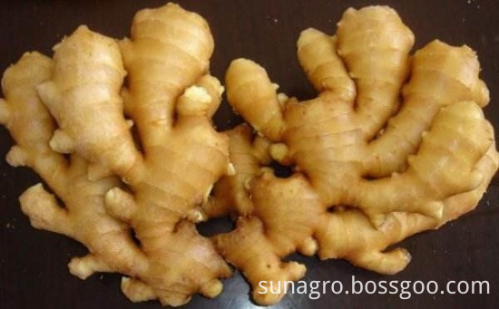 Good And Cheap Fresh Ginger