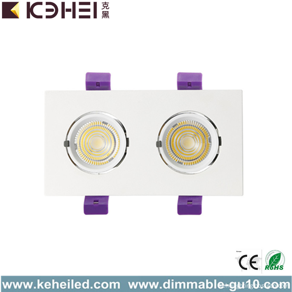 two head trunk downlight 01