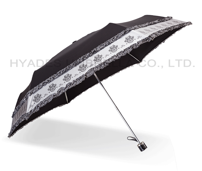 Parapluie avec sac de transport Umbrella With Carrying Bag