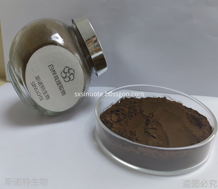 Inonotus Obliquus Extract Powder Inonotus Obliquus Extract Powder