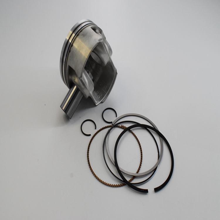 Piston And Piston Ring