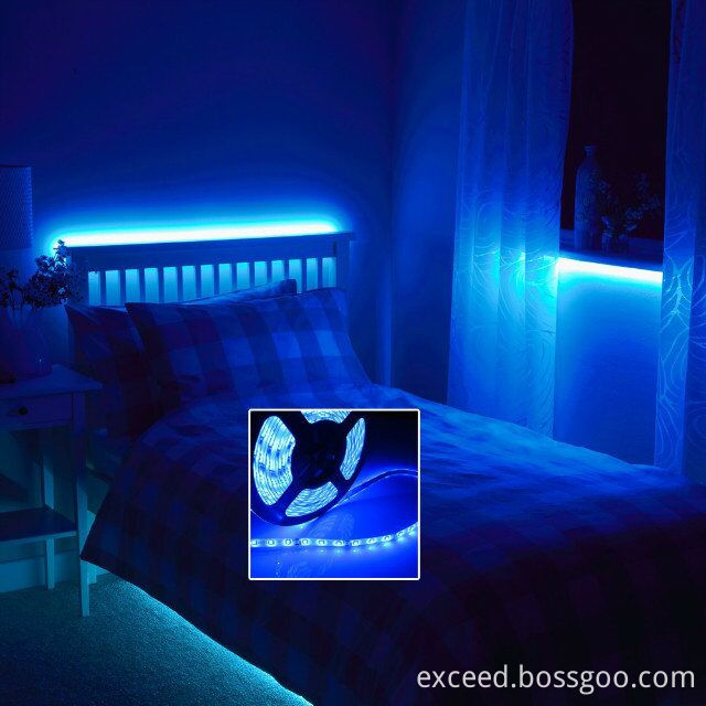Sensor LED Bed Light