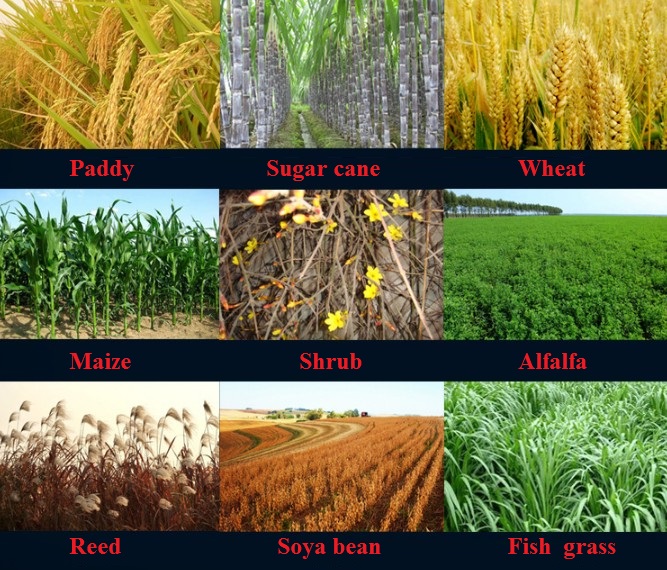 Harvester For Grain
