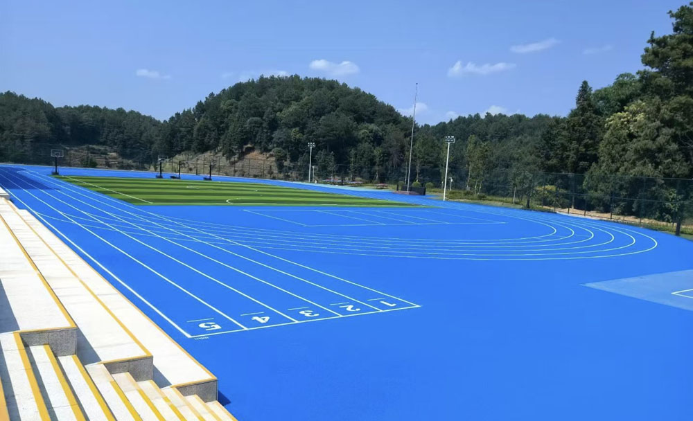 Blue Stadium Blue Stadium