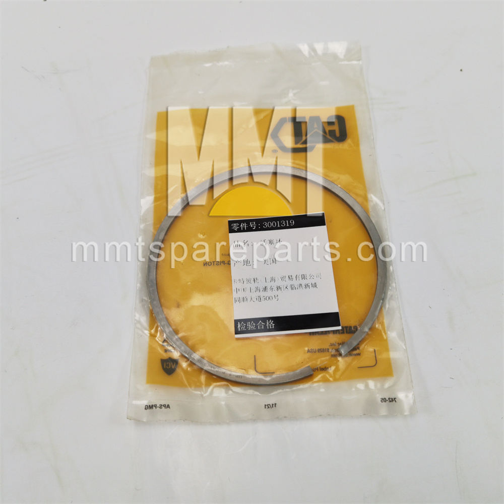 Piston ring 300-1319 Piston ring 300-1319