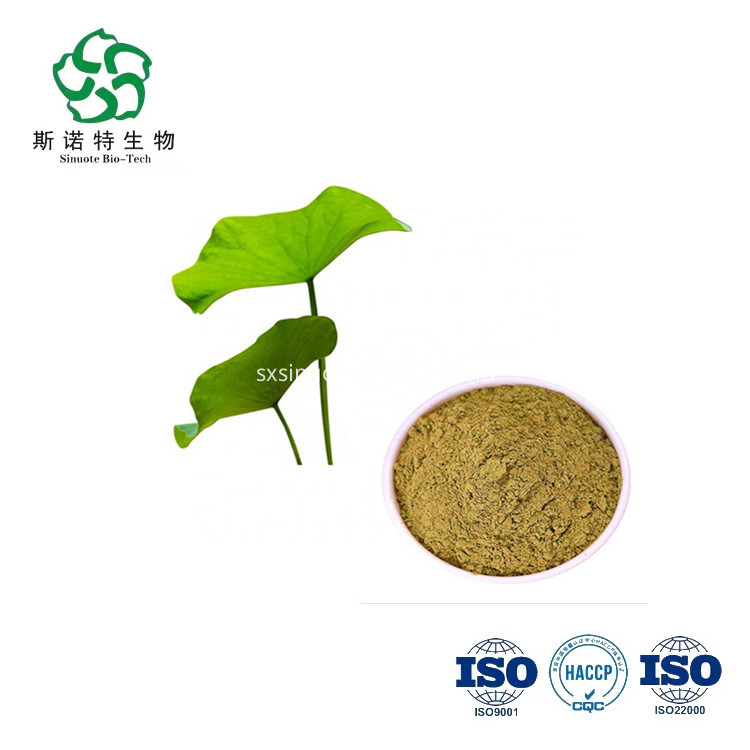 Lotus Leaf Extract Lotus Leaf Extract