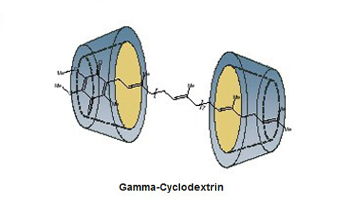 Gamma cyclodextrin solubility