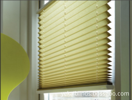 Day and night pleated curtain