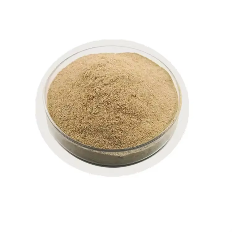 Bacillus subtilis Bacillus subtilis